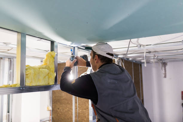 Types of Insulation We Offer in Kittredge, CO