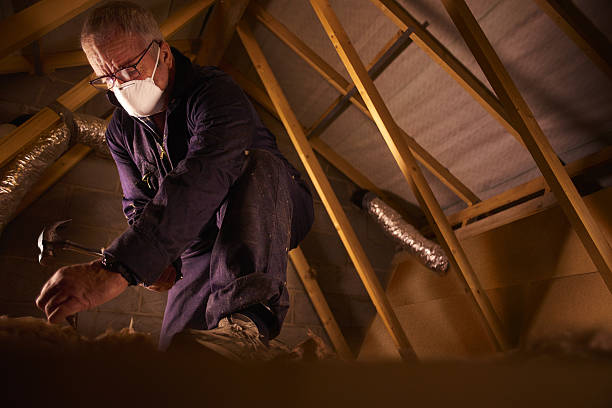 Best Insulation Maintenance and Repair in Kittredge, CO